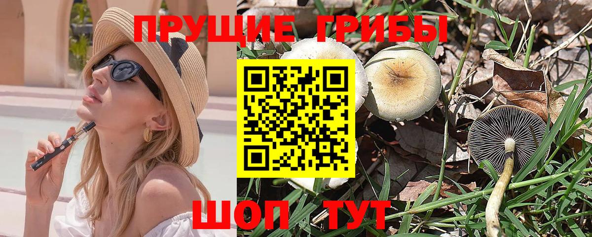 Петрозаводск  Галлюциногенные грибы Psilocybe  Вход с VPN 